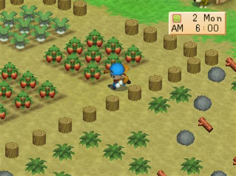 harvest moon back to nature pc.